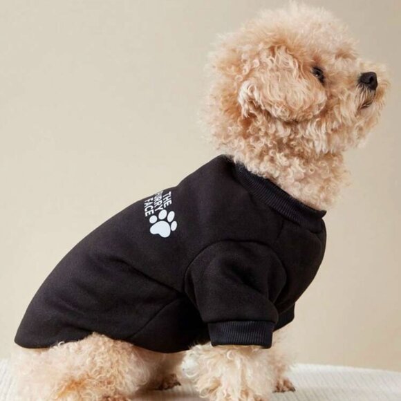 New PETSIN Dog "The Furry Face" Printed Crewneck Sweatshirt S, M, L - Picture 2 of 12